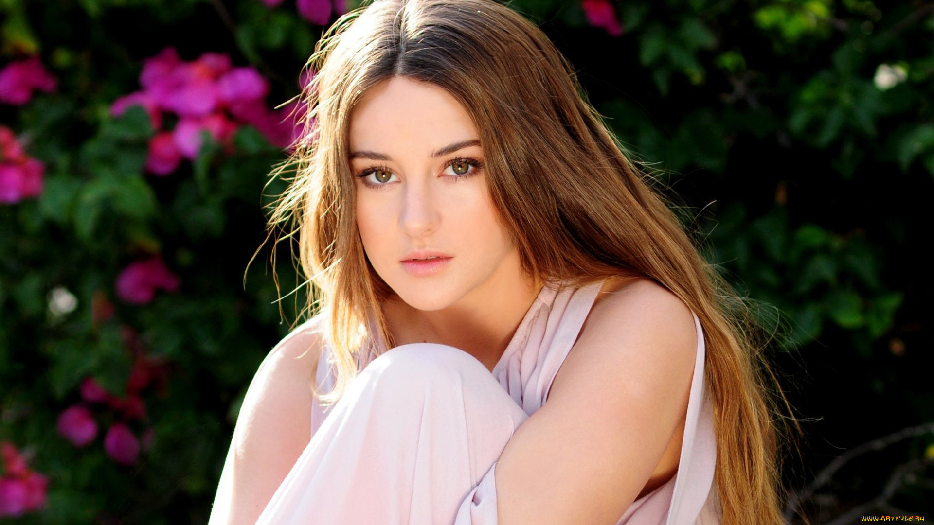 , shailene woodley, 